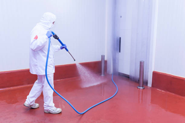 Reliable East Bethel, MN Pressure Washing Services Solutions