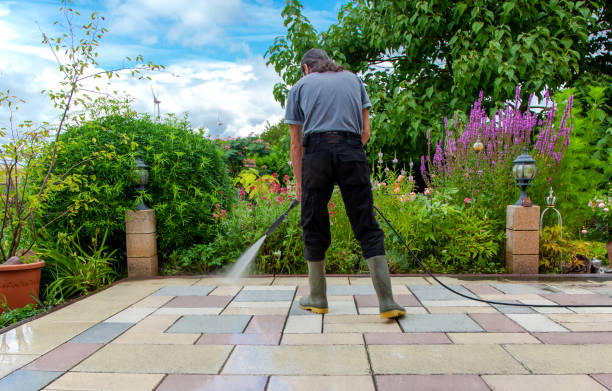 Best Sidewalk and Walkway Cleaning  in East Bethel, MN